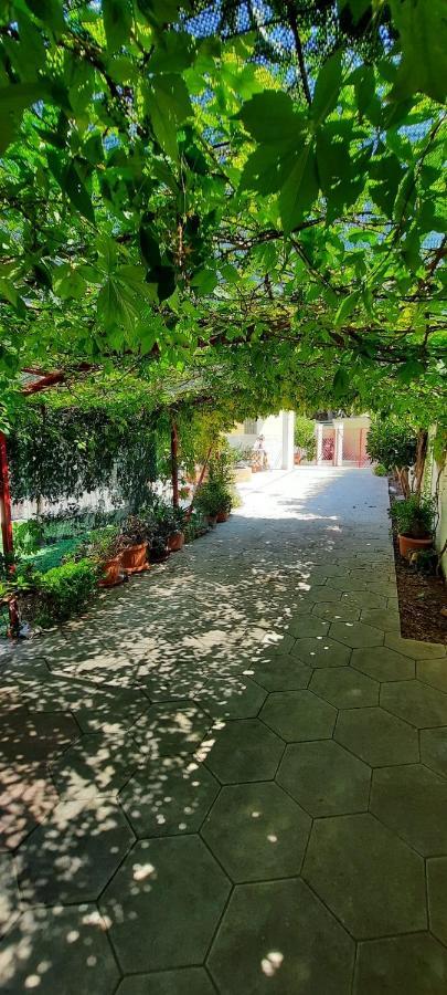 Villa Vacanza Salento 托雷奇安卡 外观 照片